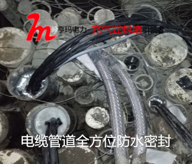 93115FEBF8F1527A9D163CE35C1C7104_副本