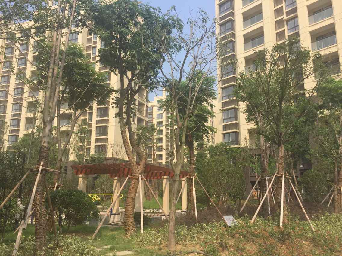 CA196C2D60AD8F347BDEAAF1CDCA2792