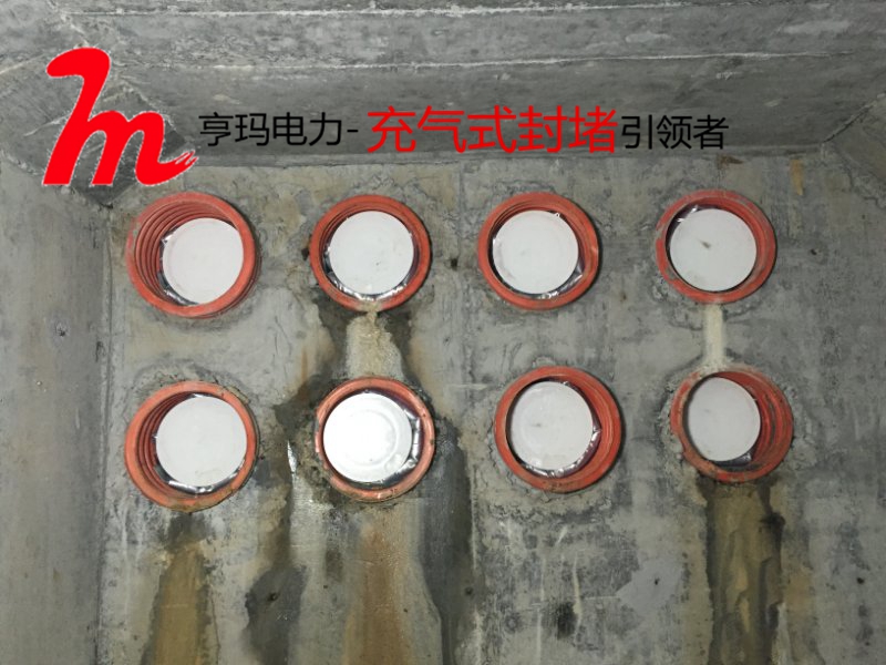 封堵器經濟和社會效益初步分析