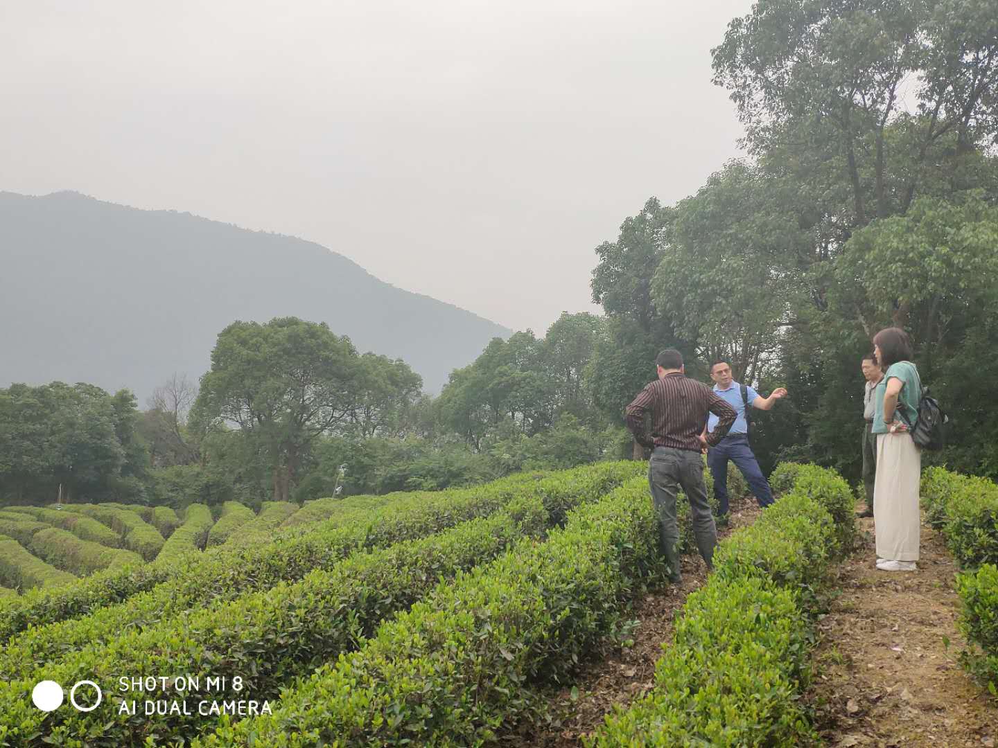 24ac8c411732faaf8e9d42887a69e14