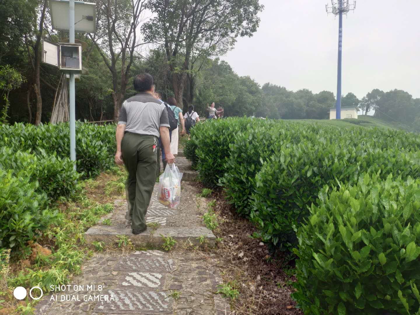 37c12d422f9e409953b41cad83c36b8