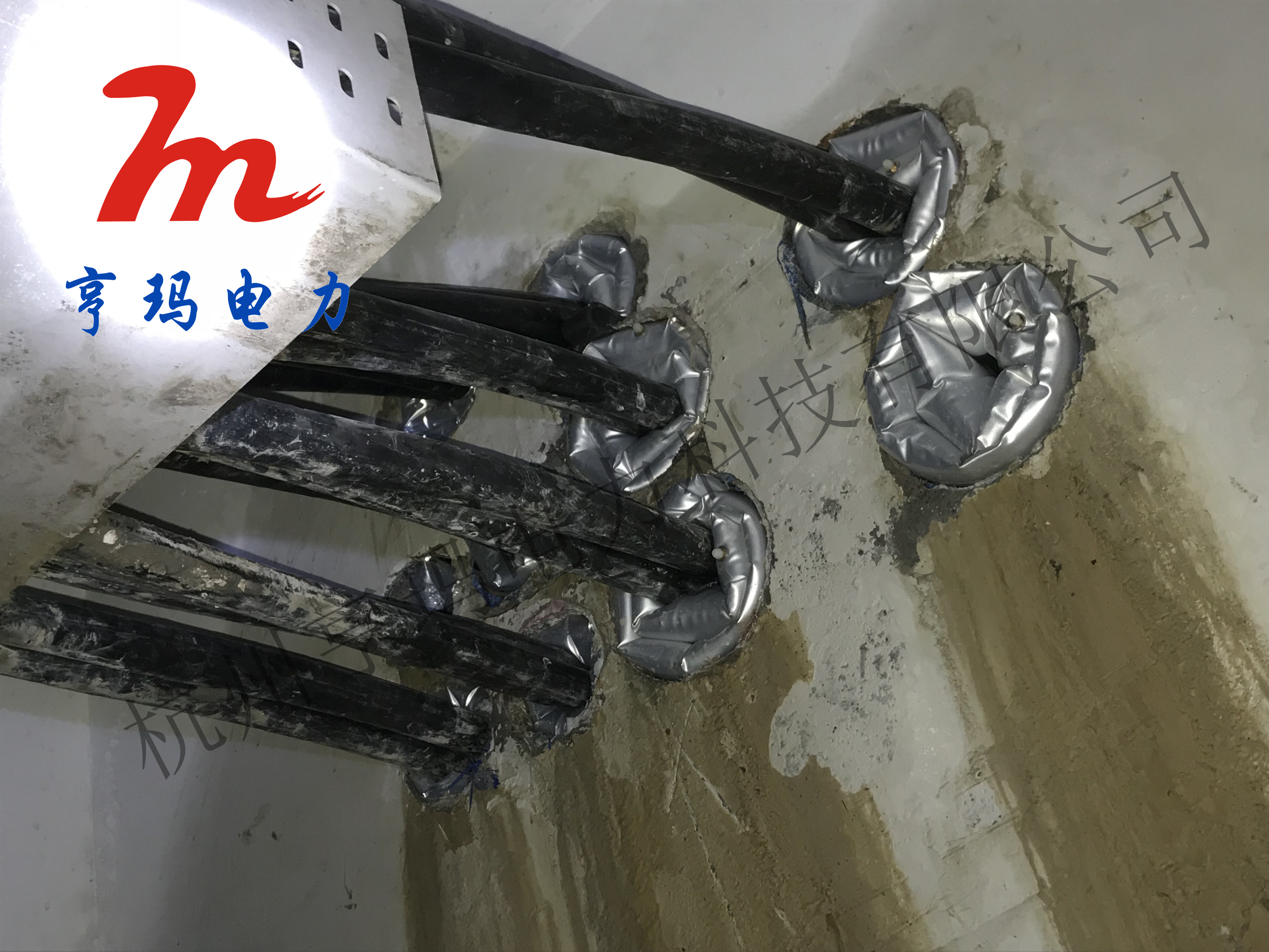 微信圖片_20200709123405_副本