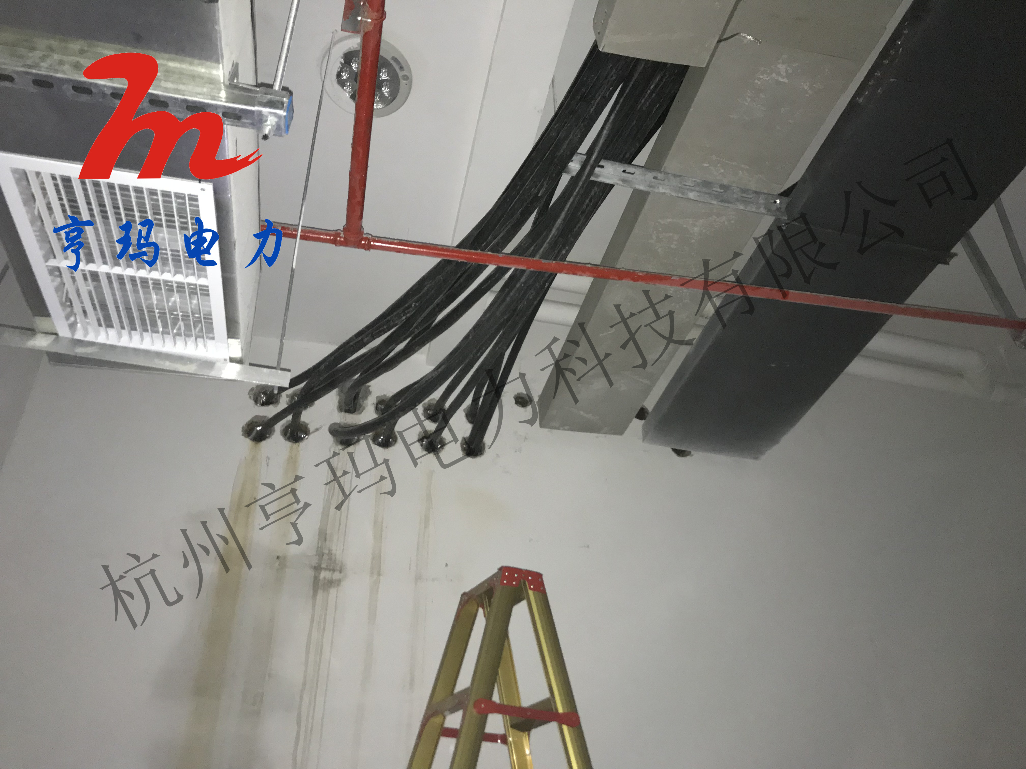 微信圖片_20200709123529_副本