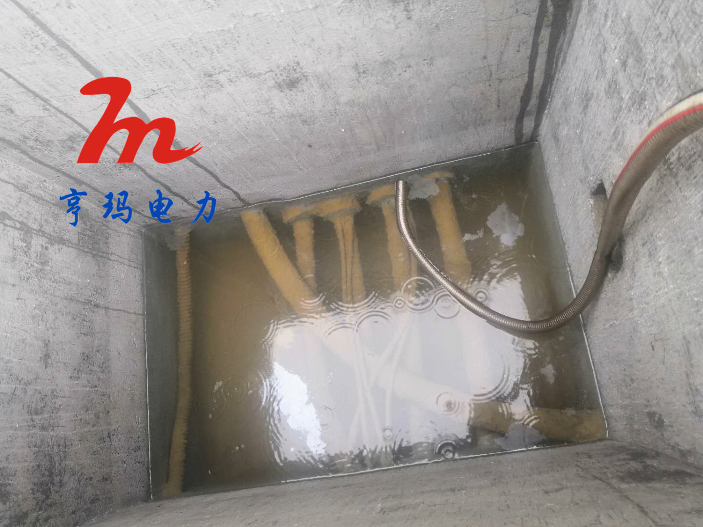 微信圖片_20200805143521_副本