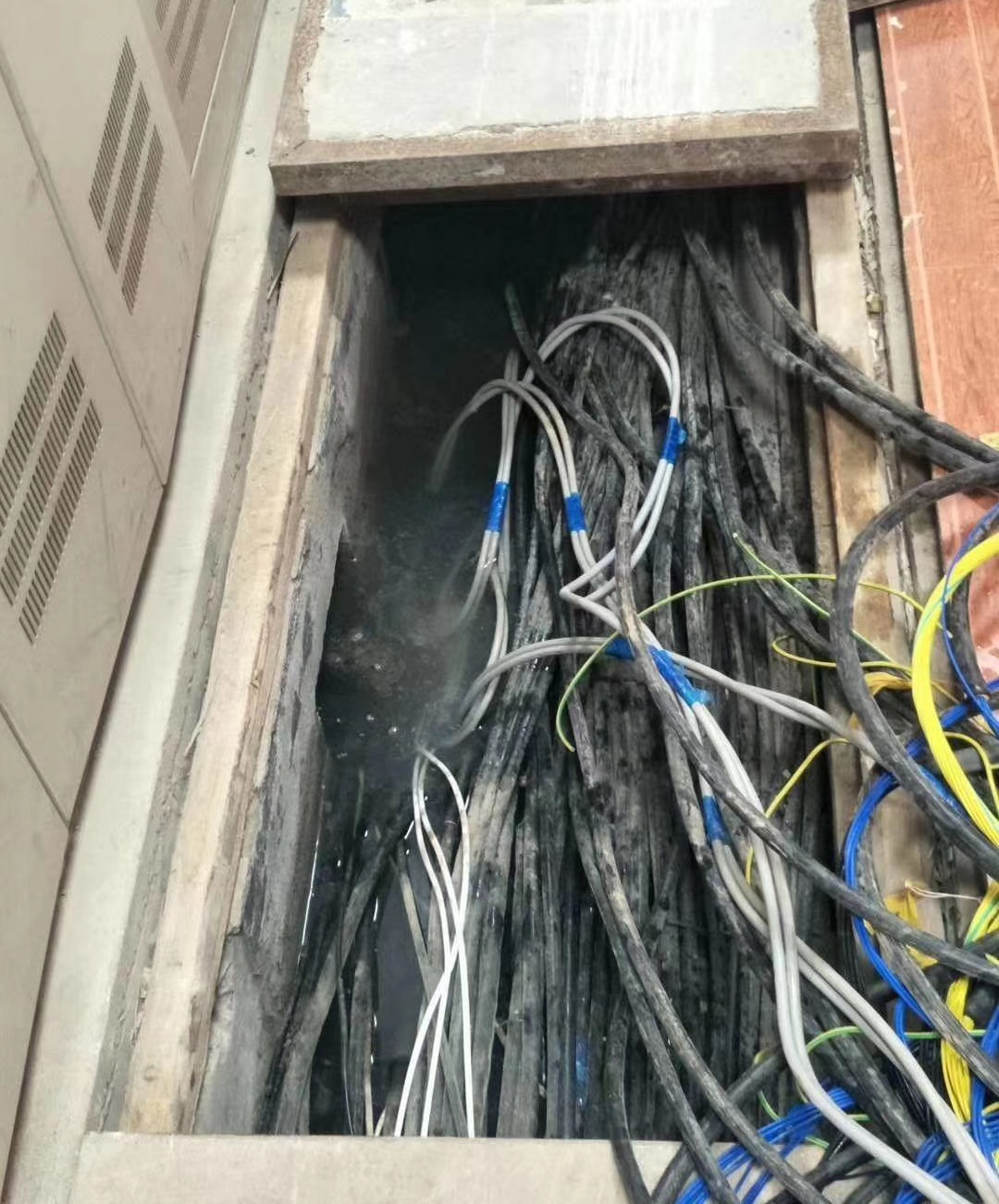 微信圖片_20200827132522