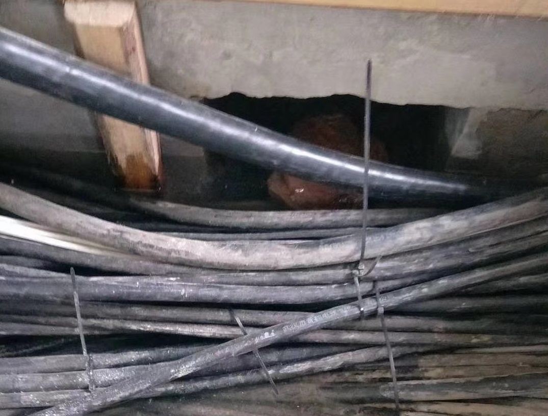 微信圖片_20200827132527