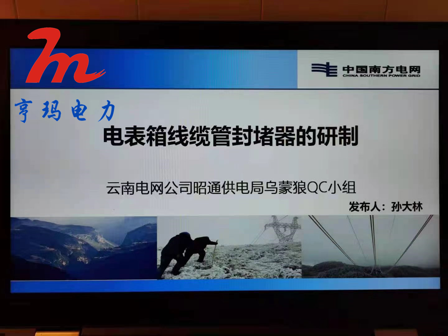 祝賀表箱封堵器成功載入中國南方電網平臺